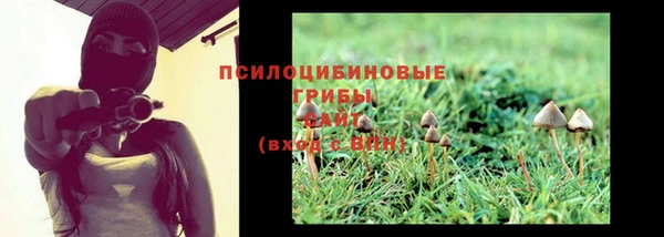 spice Заволжье