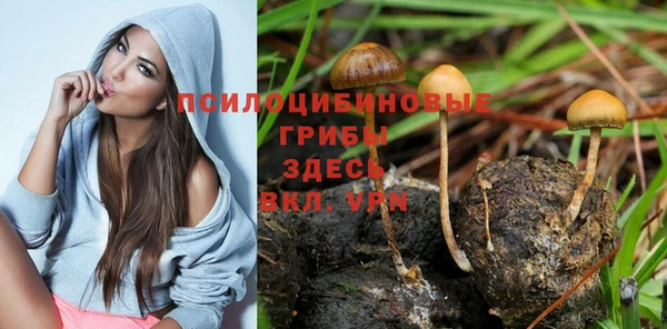 spice Заволжье