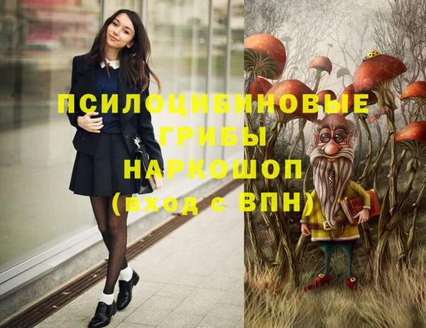 соль курить ск Заводоуковск