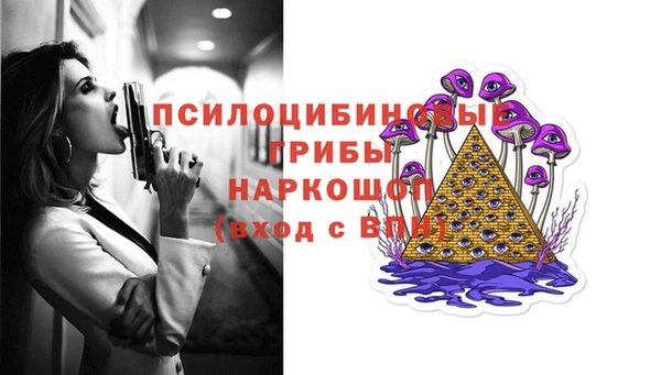 соль курить ск Заводоуковск