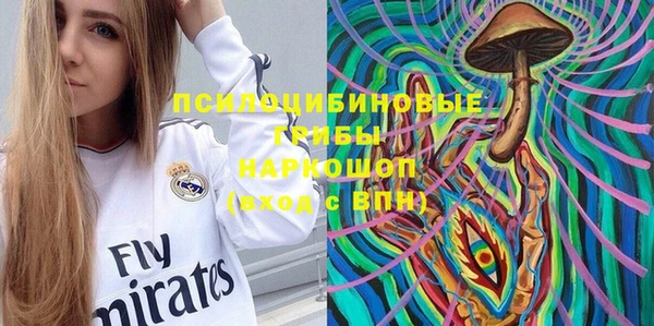 соль курить ск Заводоуковск