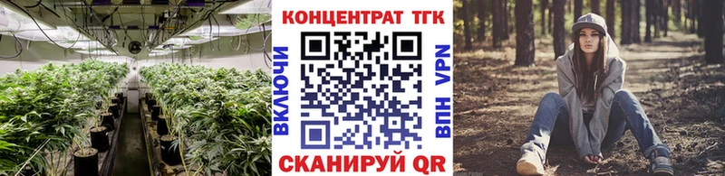Купить закладки  Дубовка  Дистиллят ТГК концентрат 