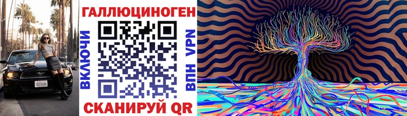 Купить где  Дубовка  Псилоцибиновые грибы Cubensis 